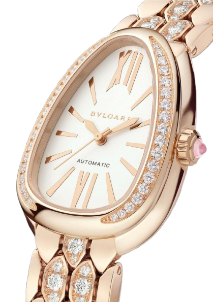 EDITOR'S PICK - WATCHES PICKS